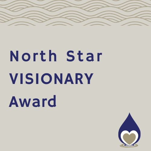 north star visionary award